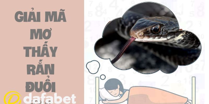 Giải mã chi tiết các giấc mộng bị rắn đuổi