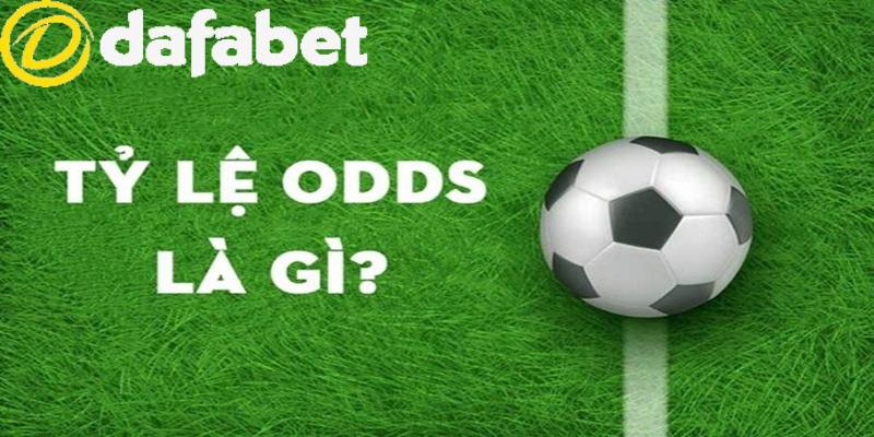 Tỷ Lệ Odds Là Gì? Phân Biệt Các Loại Ddds Cơ Bản Hiện Nay 2 Tỷ lệ odds là gì - Tỷ lệ Hong Kong (HK Odds)